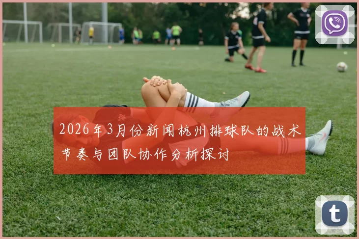 2026年3月份新闻杭州排球队的战术节奏与团队协作分析探讨
